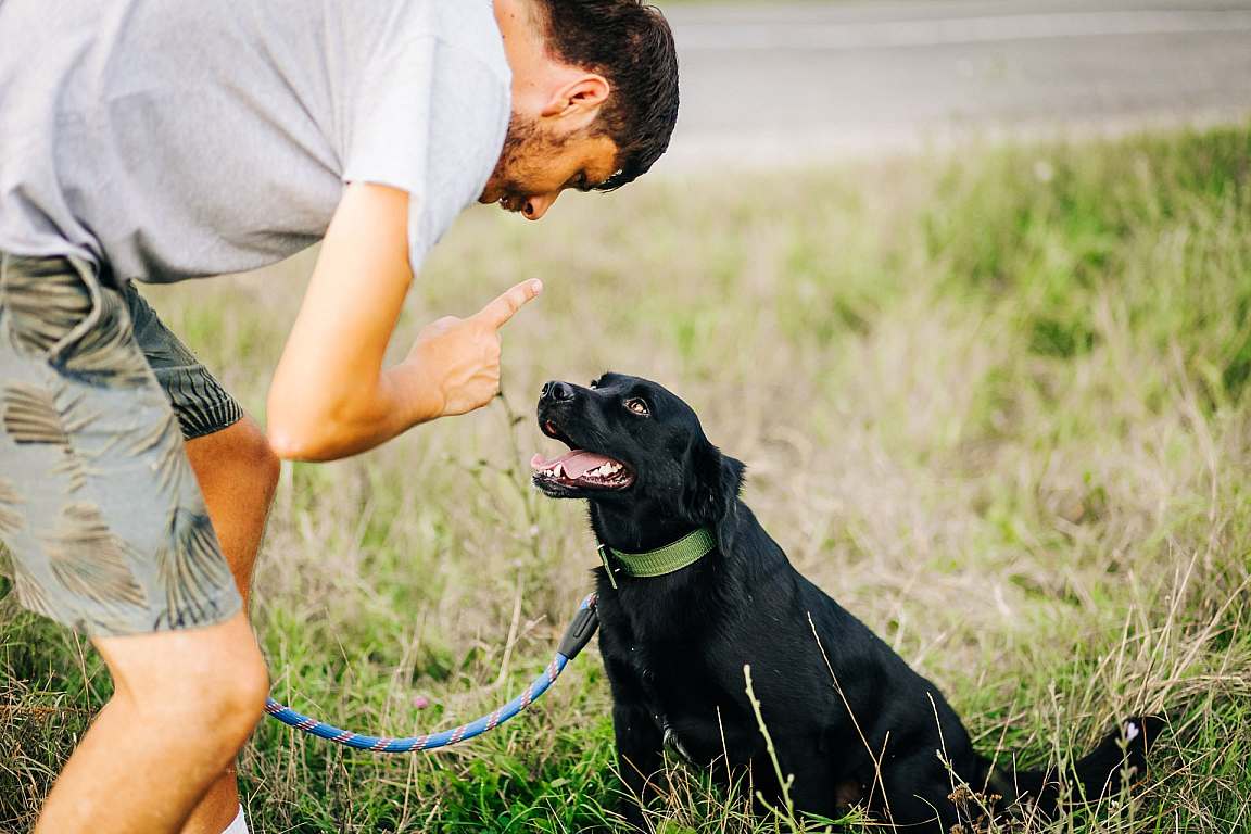 Private Lessons | The Academy for Canine Behavior and Training